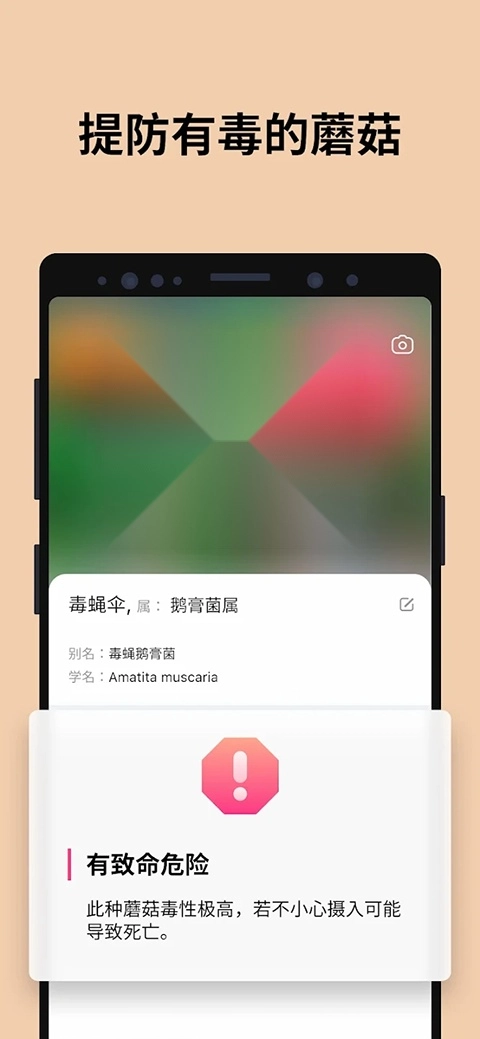 蘑菇识别扫一扫