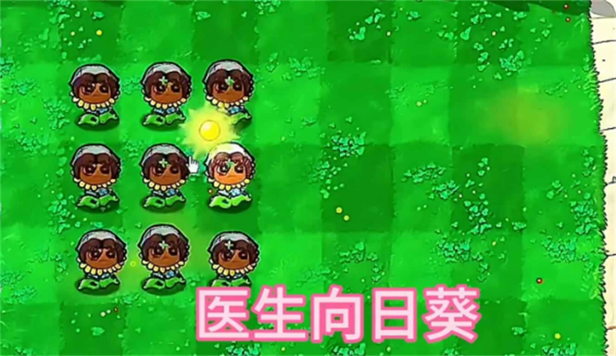 植物大战僵尸第五人格版