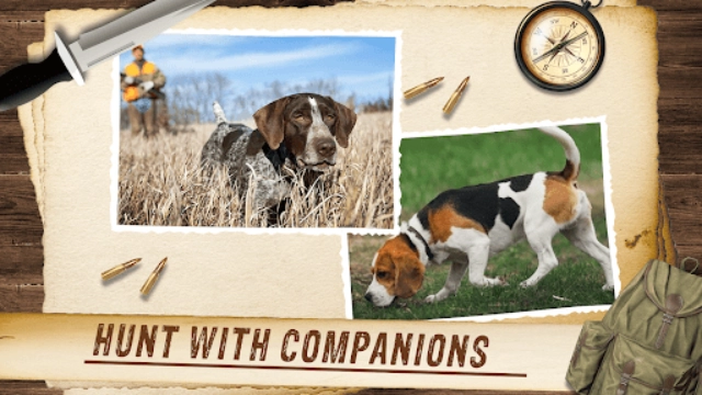 野生动物狩猎模拟器游戏纯净版图3