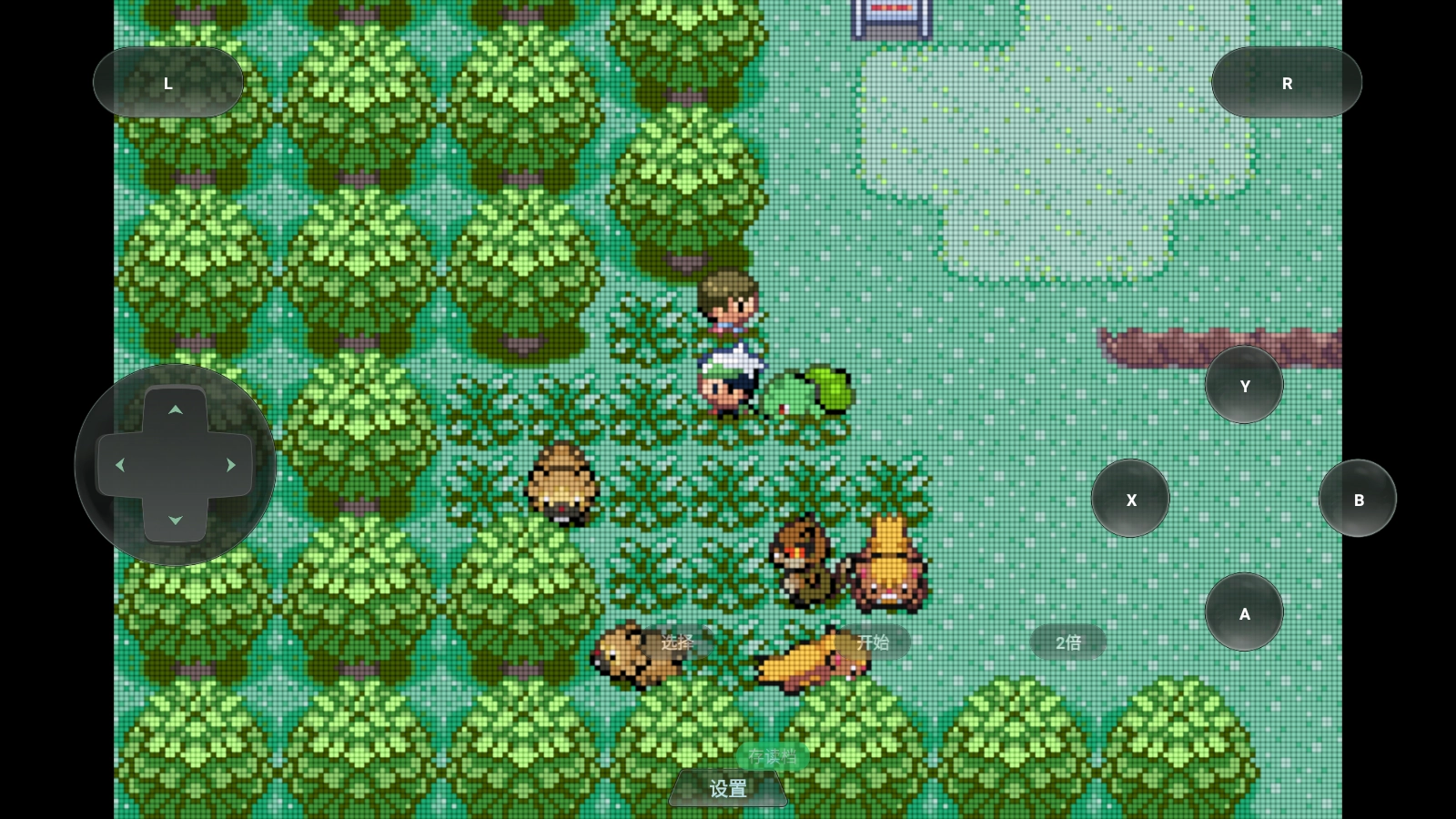 口袋妖怪格查尔