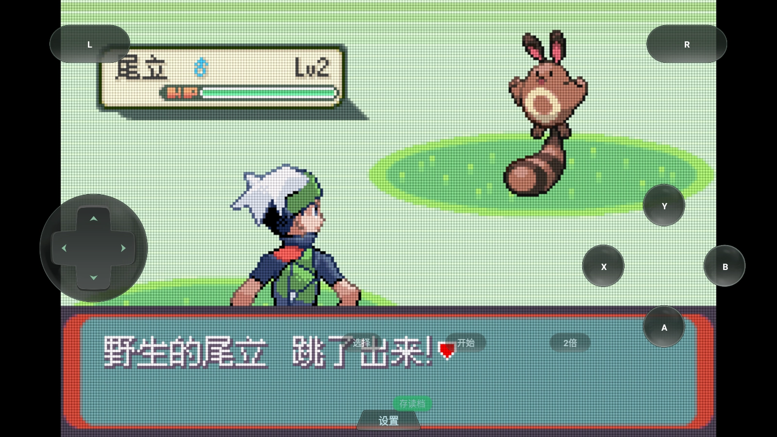 口袋妖怪格查尔