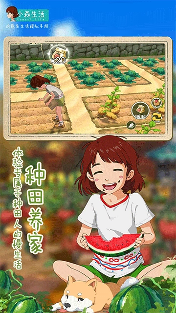 小森生活日服(5)