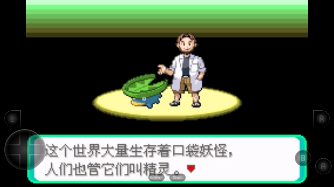 口袋妖怪绿宝石游戏纯净最新版-图2