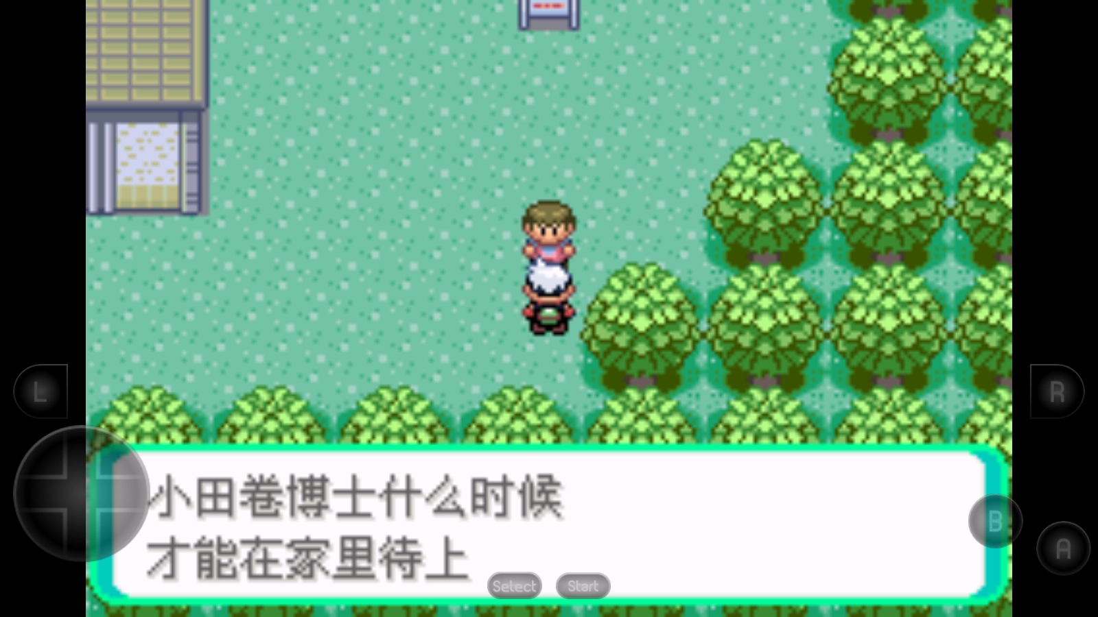 口袋妖怪绿宝石游戏纯净最新版-图4