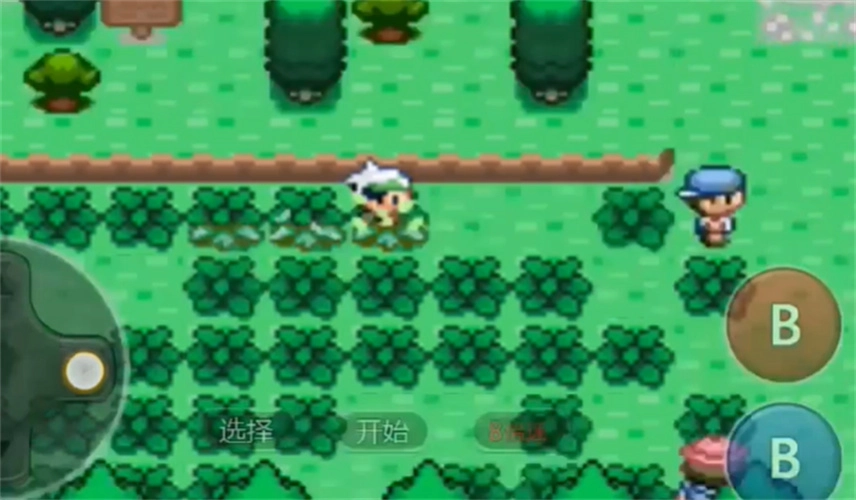 口袋妖怪神兽领域游戏官方最新版(1)