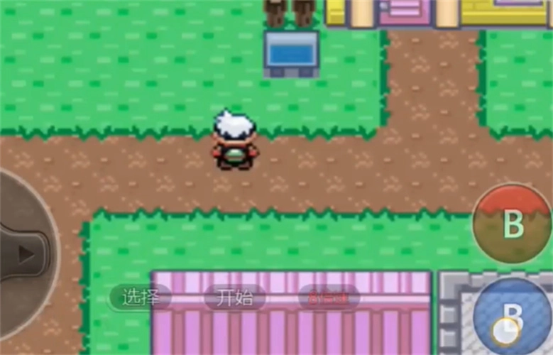 口袋妖怪神兽领域游戏官方最新版(2)