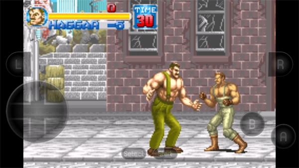 快打旋风单机版(2)