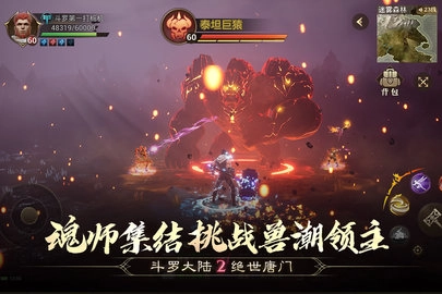 斗罗大陆2绝世唐门(4)