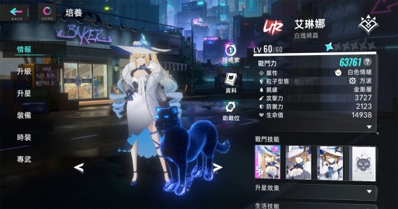 猫之城国际服