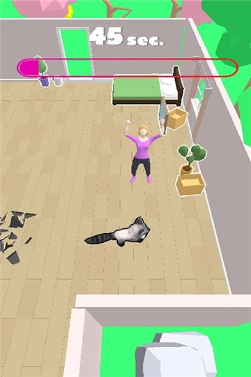 浣熊破坏房屋图3