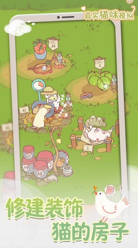 真实猫咪模拟(1)