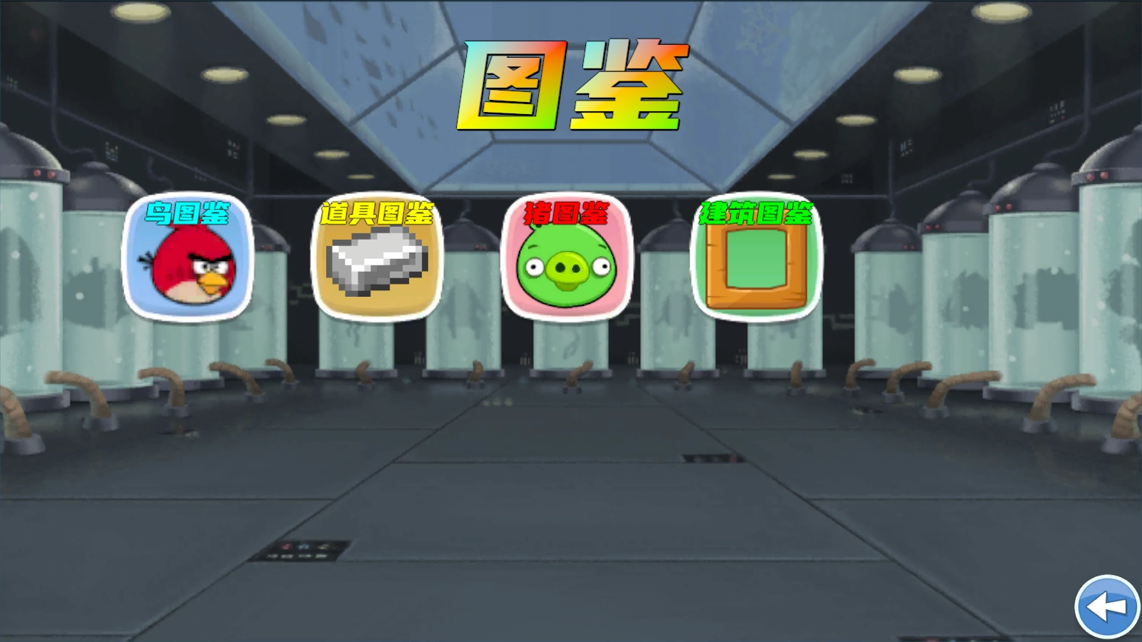 我的鸟随机版图2