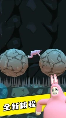 疯狂兔子人双人联机版(3)