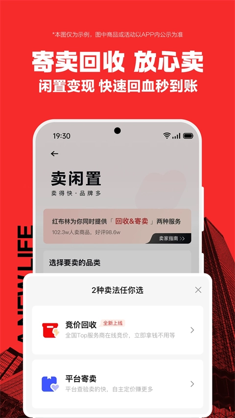 红布林-图4