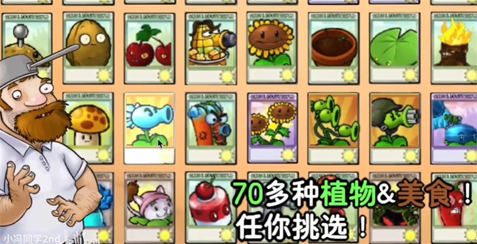 植物大战僵尸时空之乱