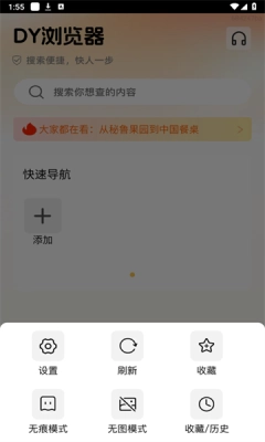DY浏览器图2