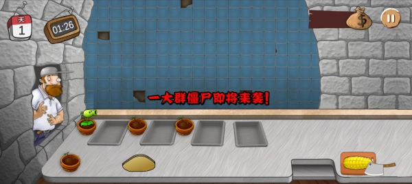 沙威玛植物大战僵尸