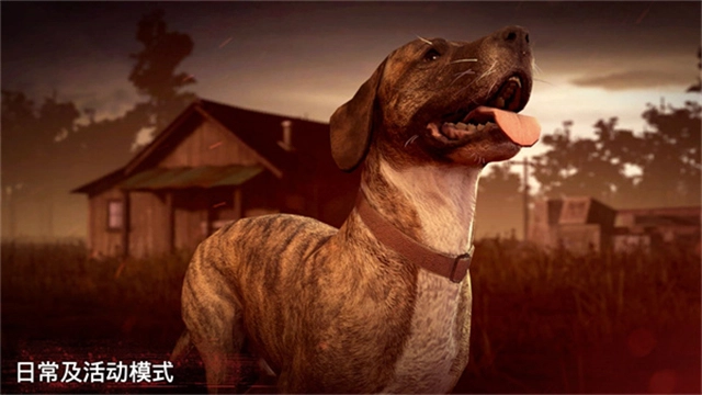 勇闯死人谷2汉化版(1)