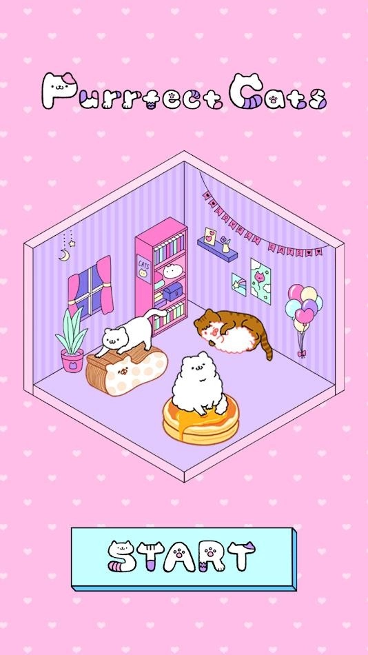 完美之猫