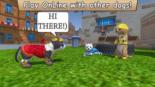 美国Zoom动物最新版(2)