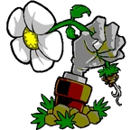 植物大战僵尸胆小菇之梦版 v1.0