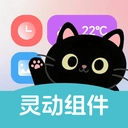 灵动皮肤小组件 v1.0.0