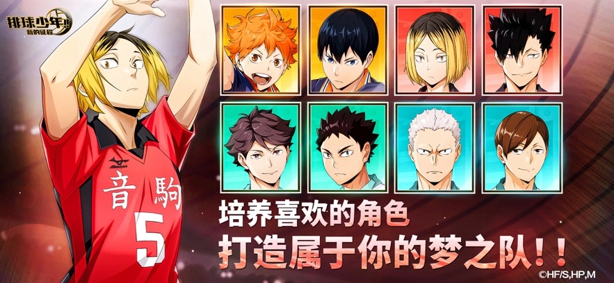 排球少年新的征程