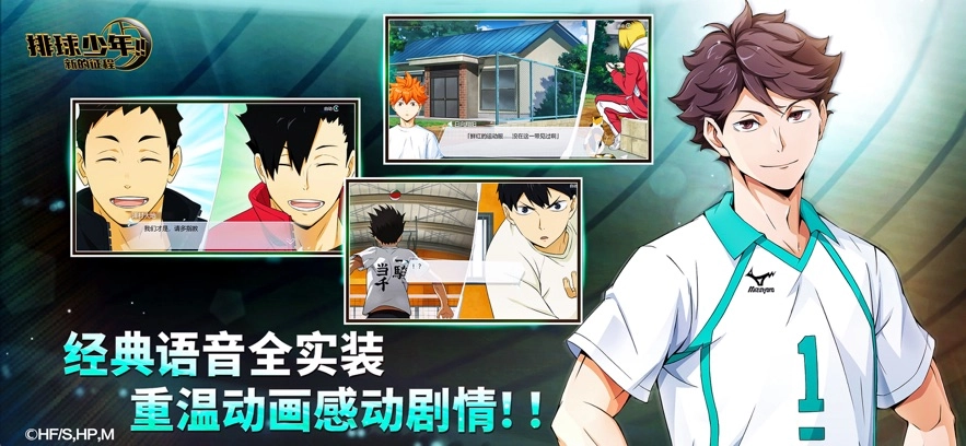 排球少年新的征程