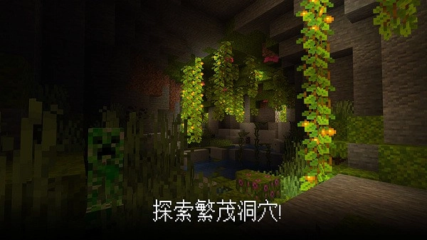 我的世界老版(3)