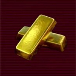 金砖弱网（禁止倒卖）正版