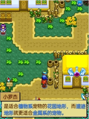 宠物王国4(上帝版图1