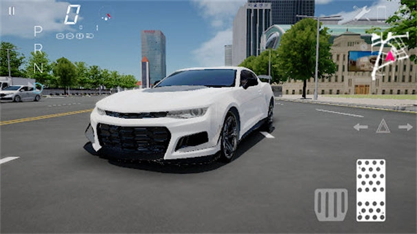 驾驶汽车模拟器3d(2)
