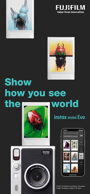 mini Evo 图4