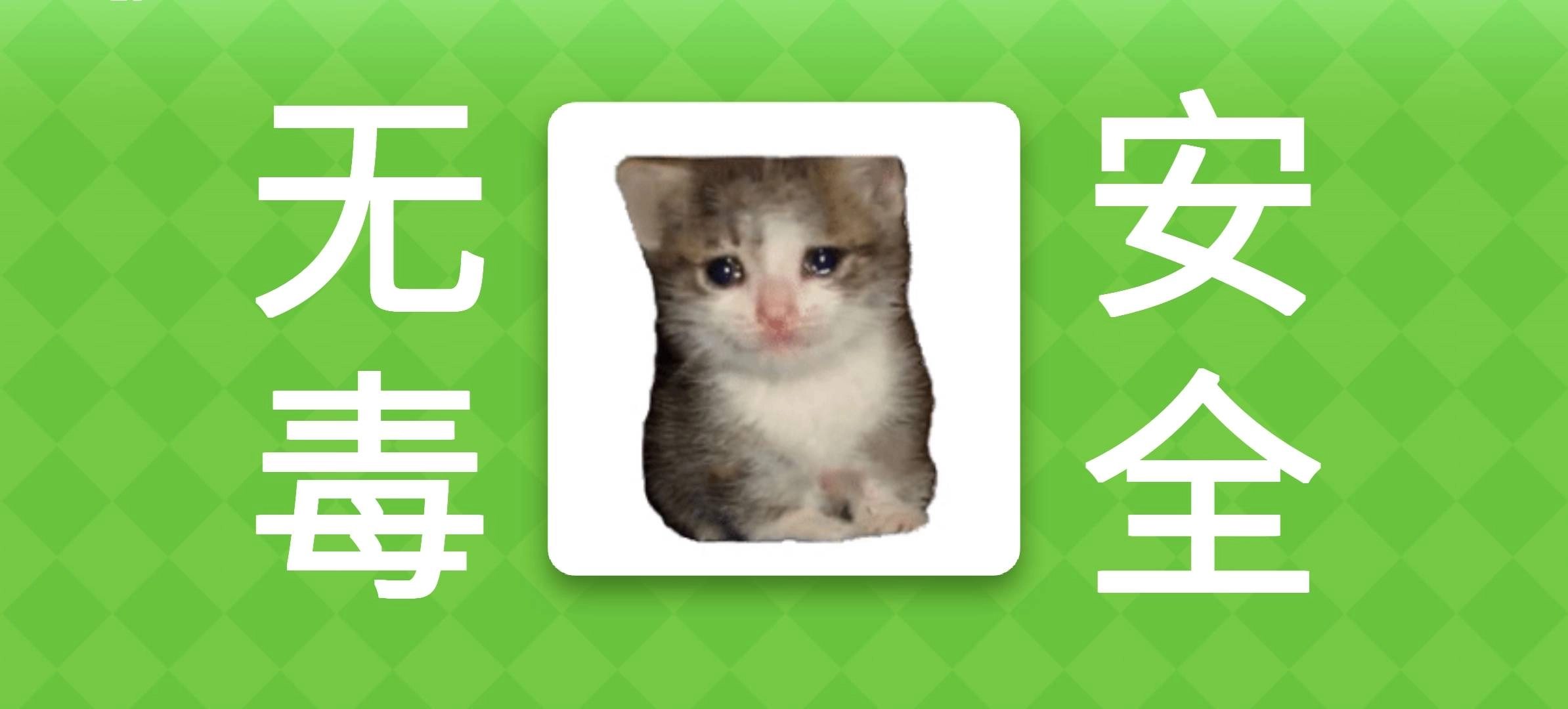 女巫的毒药猫meme版图2