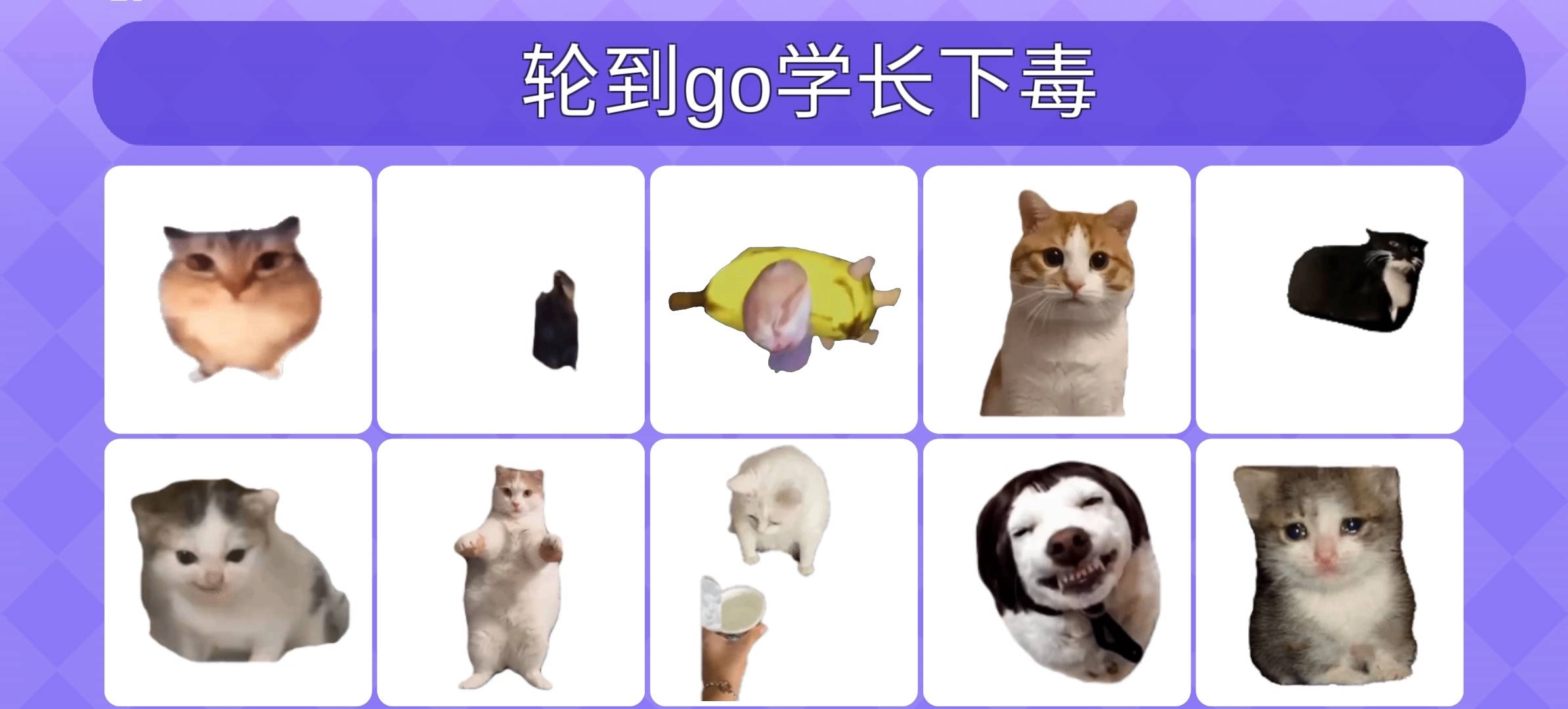 女巫的毒药猫meme版图3