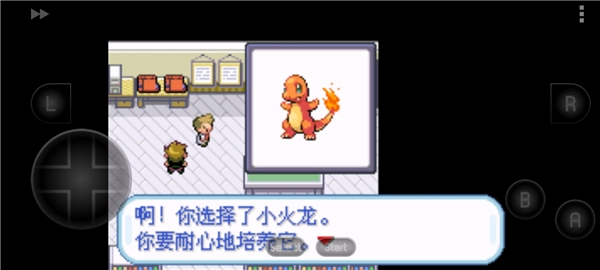 口袋妖怪叶绿版图5