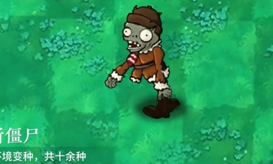植物大战僵尸自然版图3
