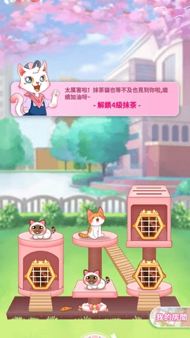 萌猫成长记