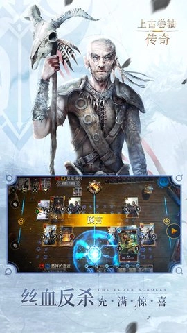 上古卷轴：传奇图2
