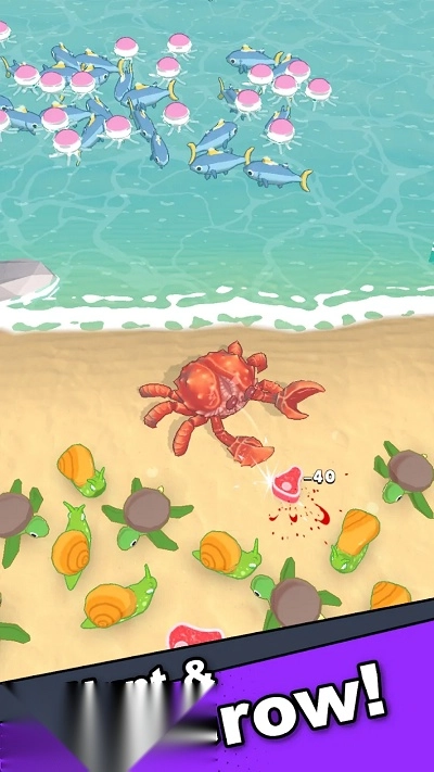 螃蟹生活游戏(3)