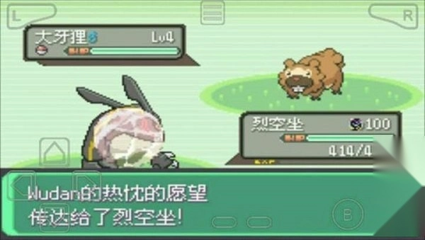 口袋妖怪绿宝石802(2)