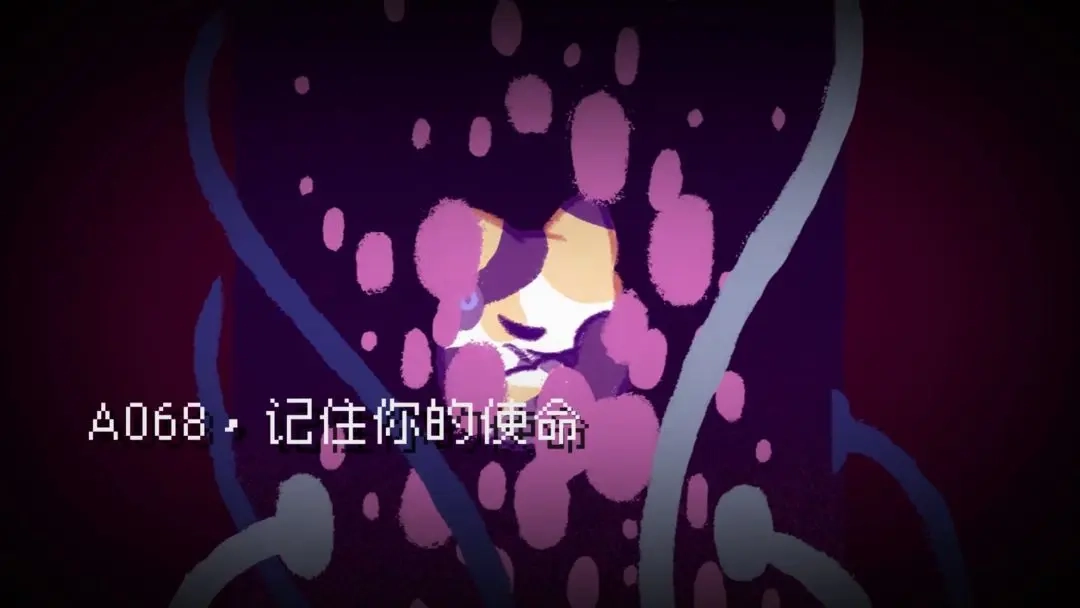 对人类过敏的猫