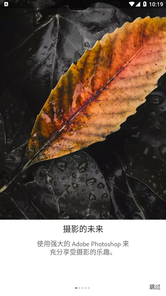 lightroom正版3