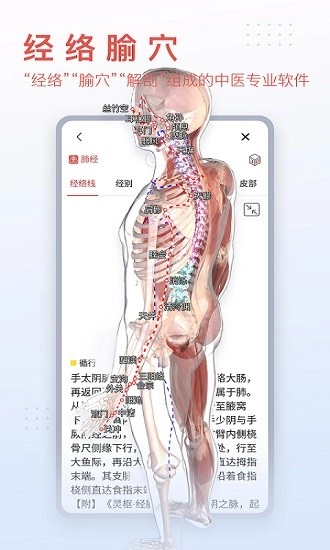 3dbody解剖免费版图2