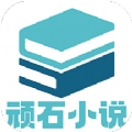 顽石小说