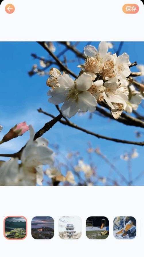 全民拍照大师截图3