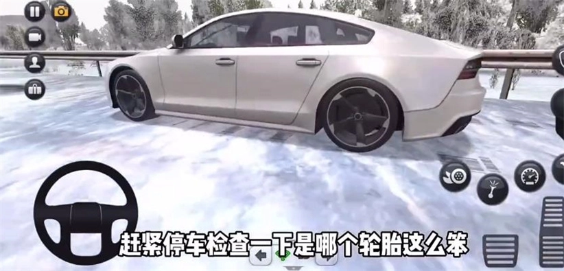 终极卡车模拟器正版图3