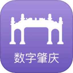 数字肇庆最新版