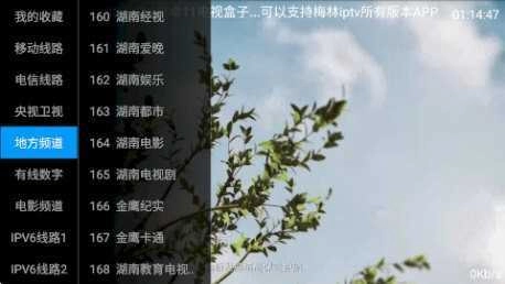 梅林iptv正版图4