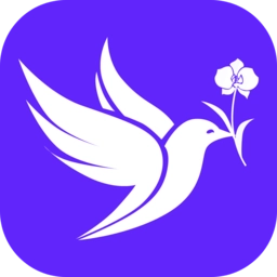 布谷网手机版 v1.0.4 安卓版